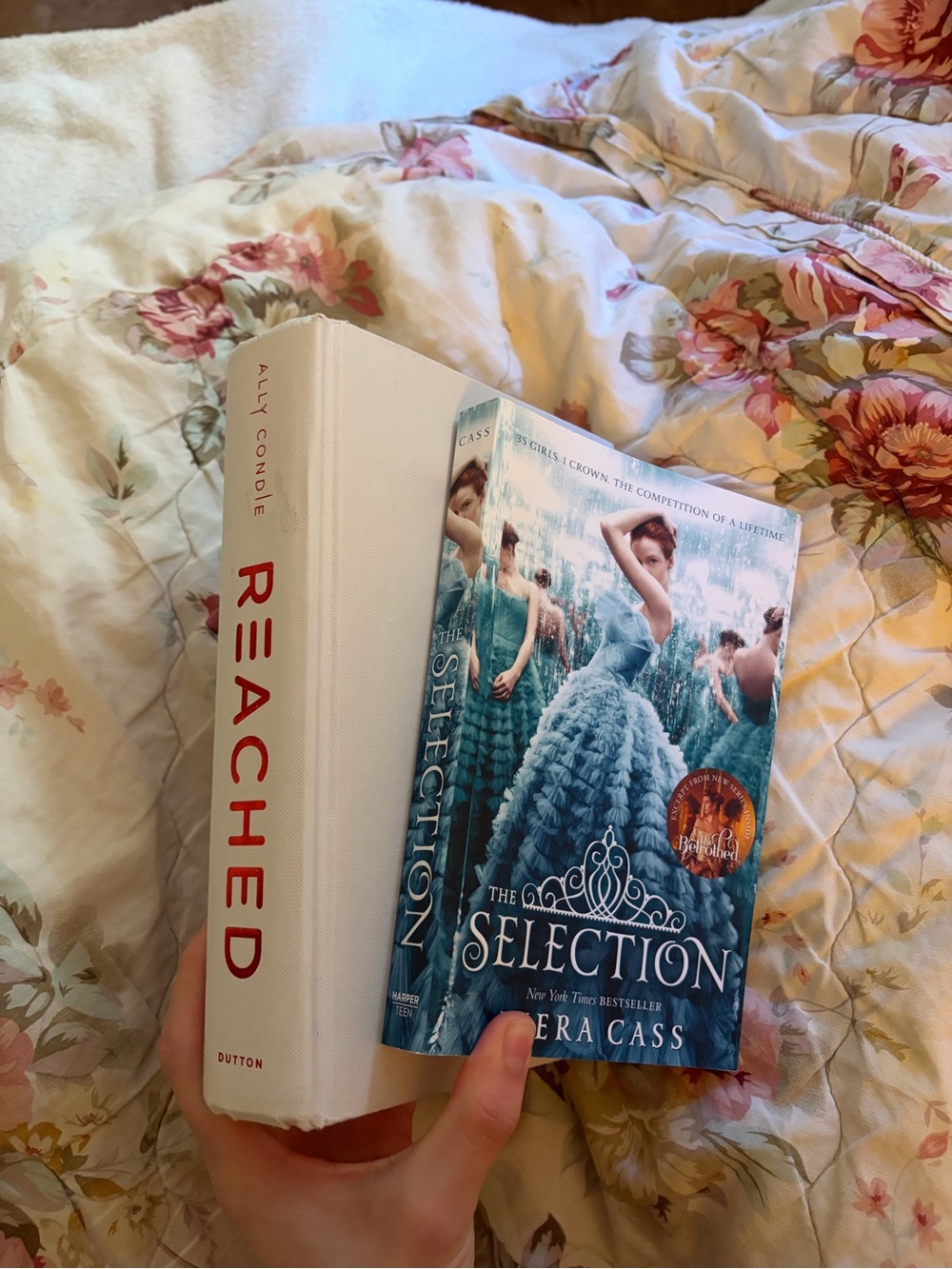 REACHED and The Selection
